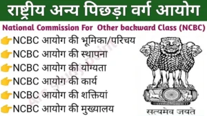 राष्ट्रीय अन्य पिछड़ा वर्ग आयोग