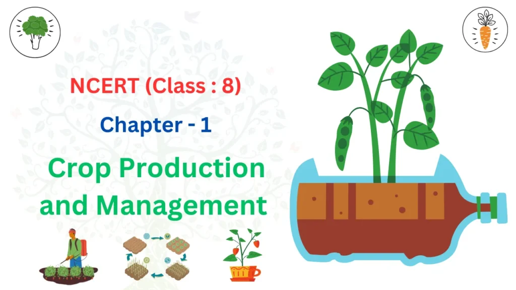 Crop Production and Management