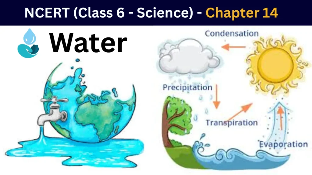 Water